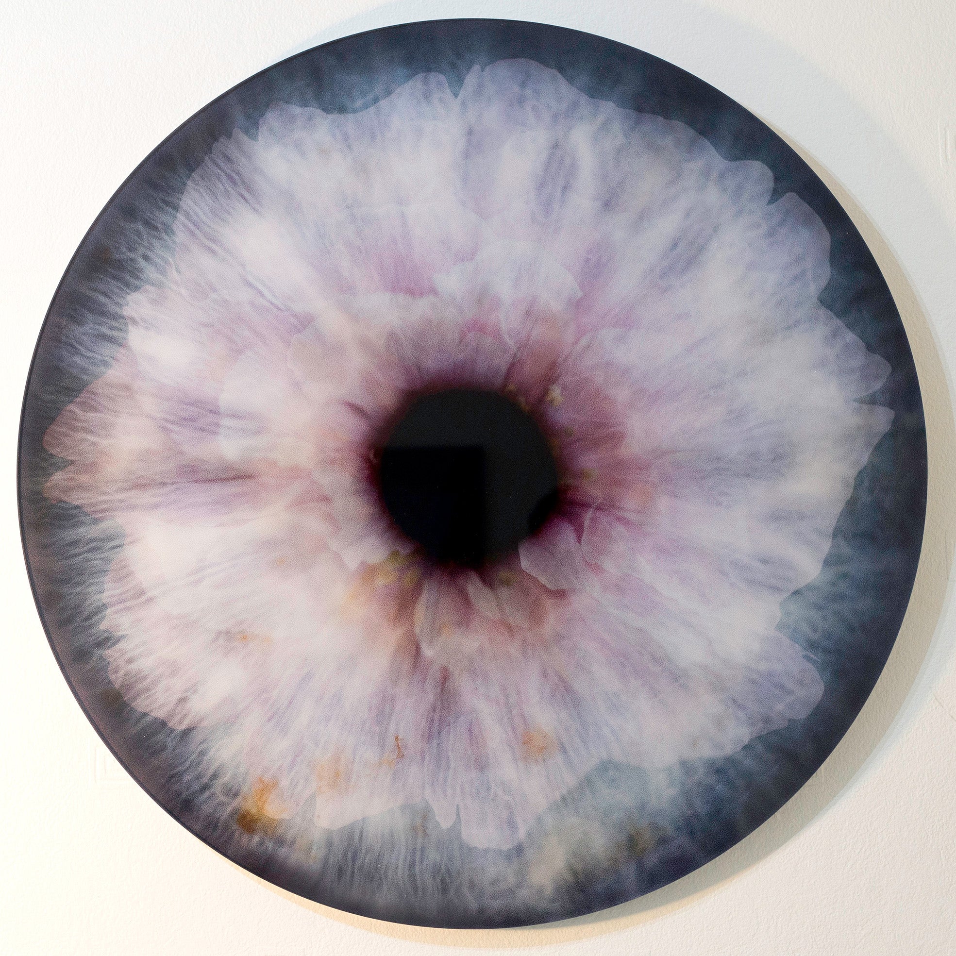 In the Eye of the Beholder, Eyes and flowers, Ernesto Romano