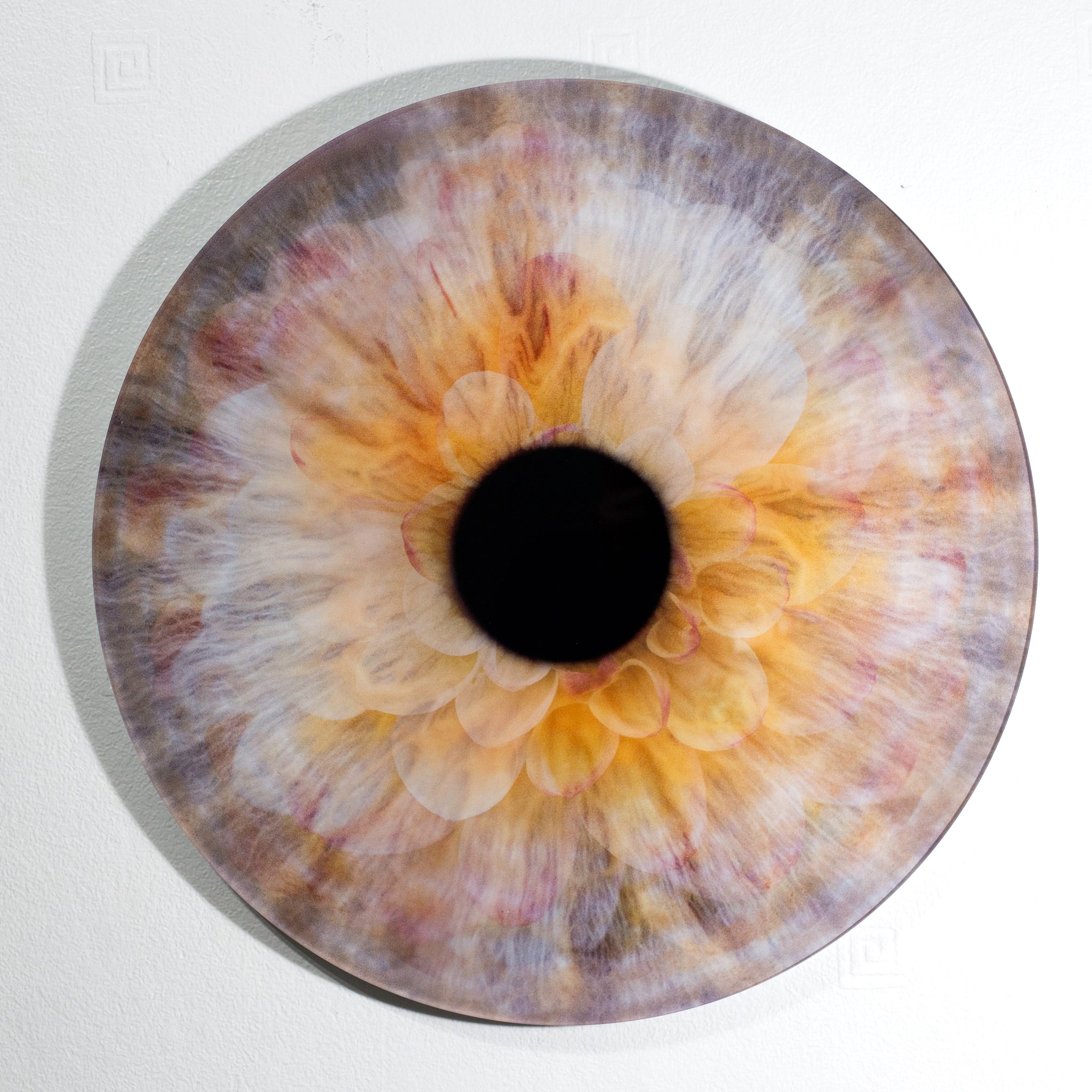 希少2012 ケナン Kenan Tiemeyer EYE OF GOD ガラス In the Eye of the Beholder, Eyes and flowers, Ernesto Romano